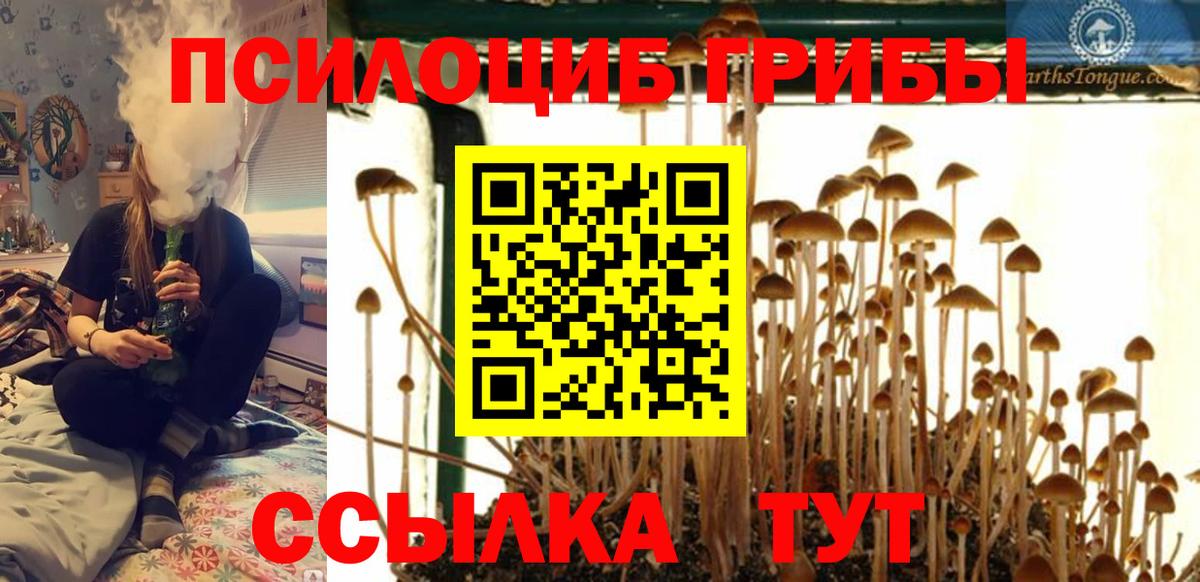 Энгельс  Галлюциногенные грибы Psilocybine cubensis  Вход с VPN 