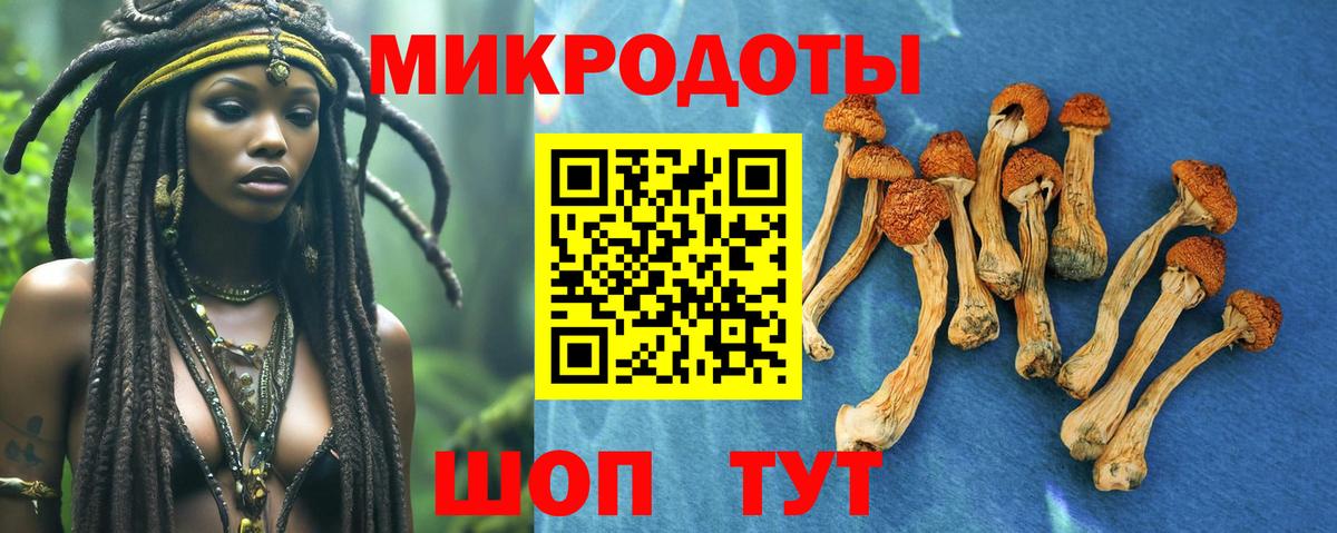 Псилоцибиновые грибы прущие грибы Энгельс